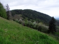 DSCF7031kl