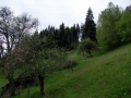 DSCF7034kl