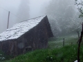 DSCF7037kl