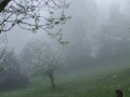 DSCF7045kl
