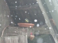 DSCF7053kl