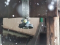 DSCF7063kl