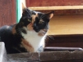 DSCF7071kl