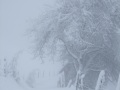 DSCF8641kl